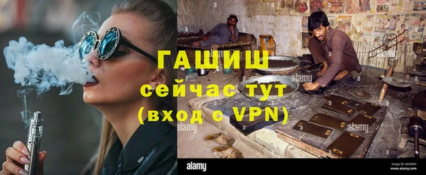 гидра Бородино