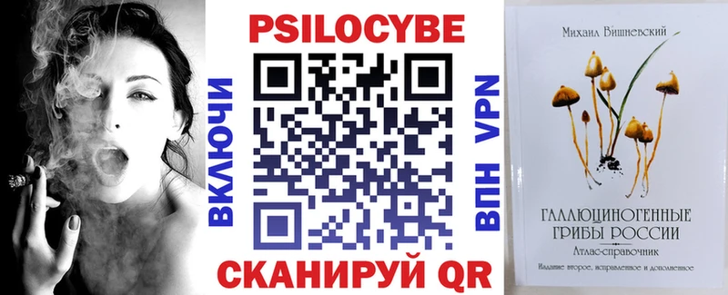 Купить закладки  Новокубанск  Псилоцибиновые грибы мухоморы 